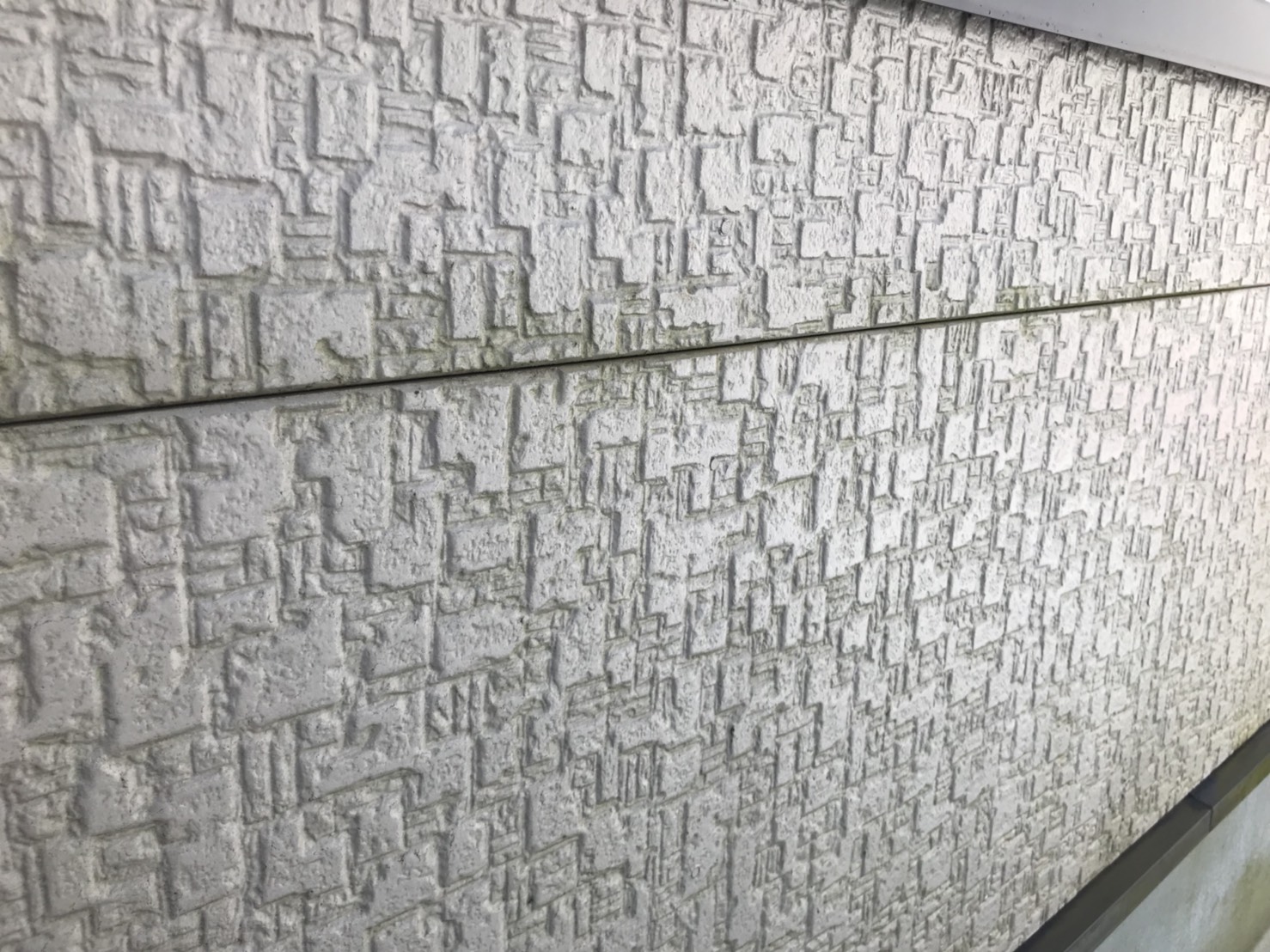 外壁の現場調査