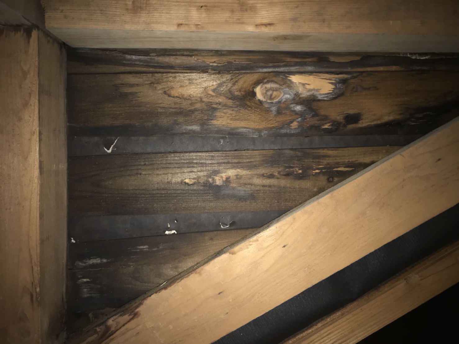 屋根裏の漏水