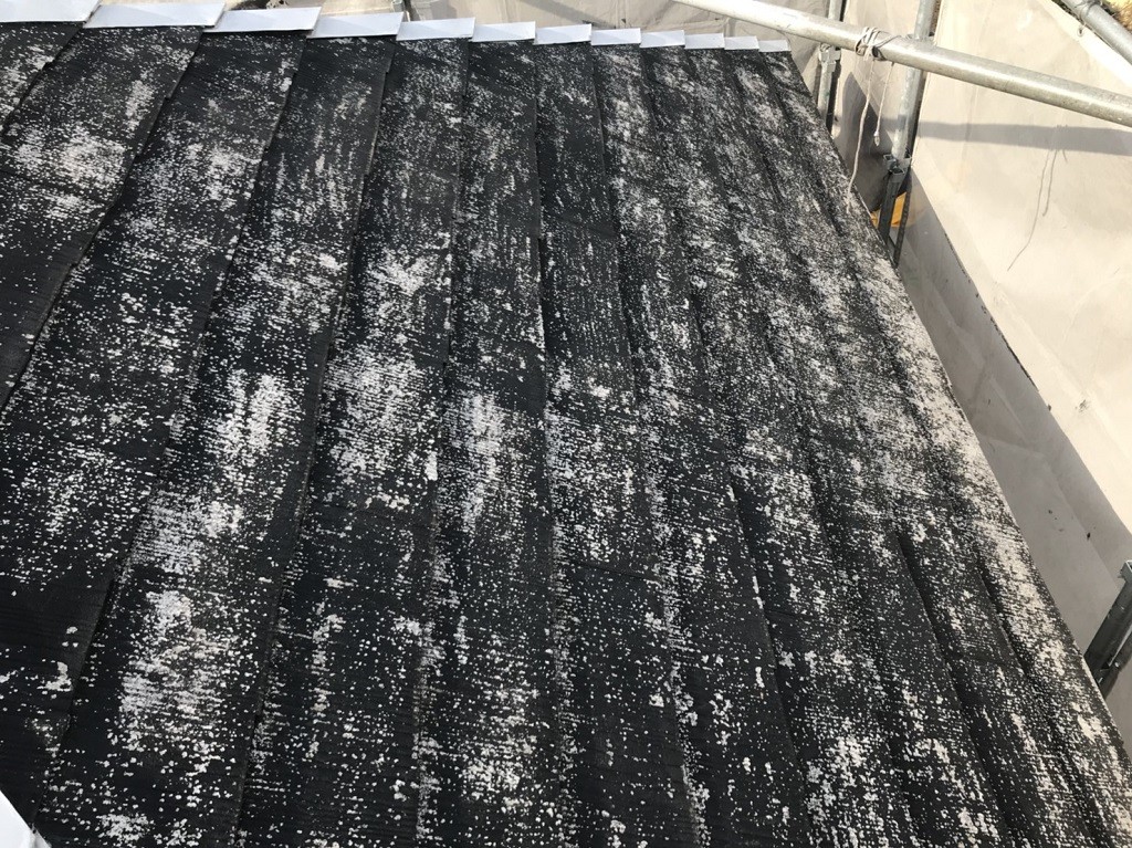 屋根の劣化状況（コケ・藻）