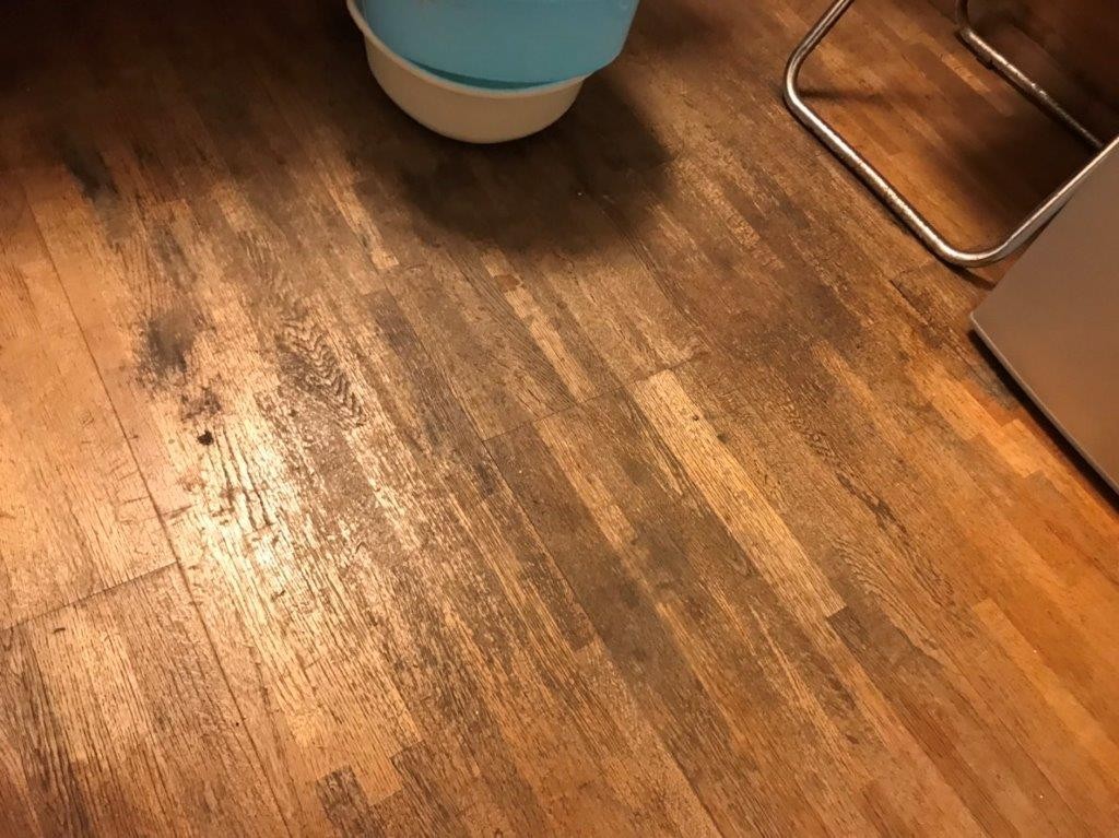 水分を含んでいる床
